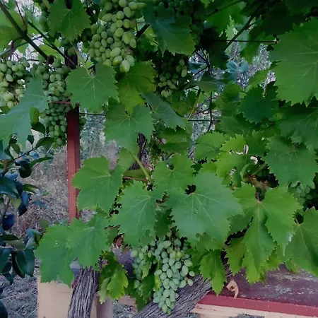Kuca Za Odmor Iva *