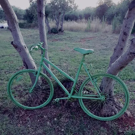 Kuca Za Odmor Iva Bibinje